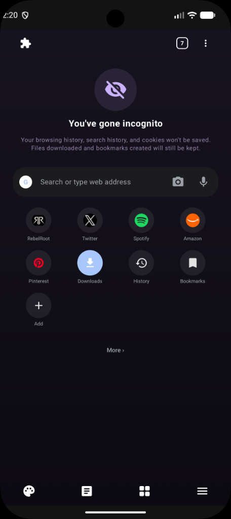 Incognito Private Browsing Screen