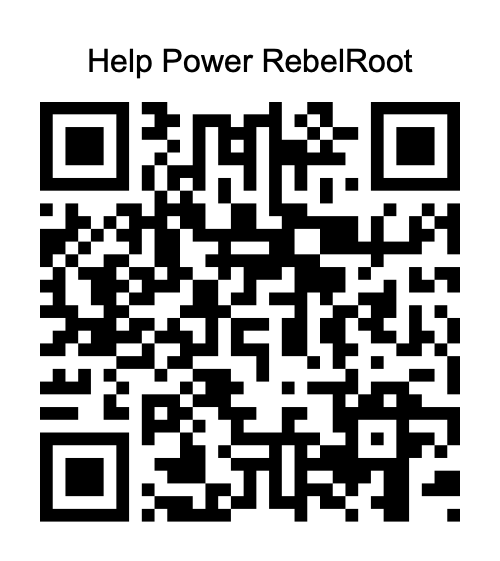 PayPal Payment QR Code